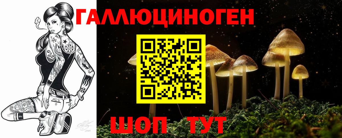 Галлюциногенные грибы Psilocybine cubensis Электросталь
