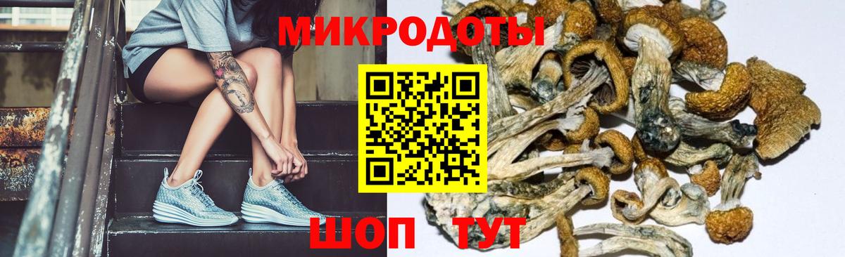 Галлюциногенные грибы Cubensis  Вход с VPN  Электросталь  Галлюциногенные грибы мухоморы 